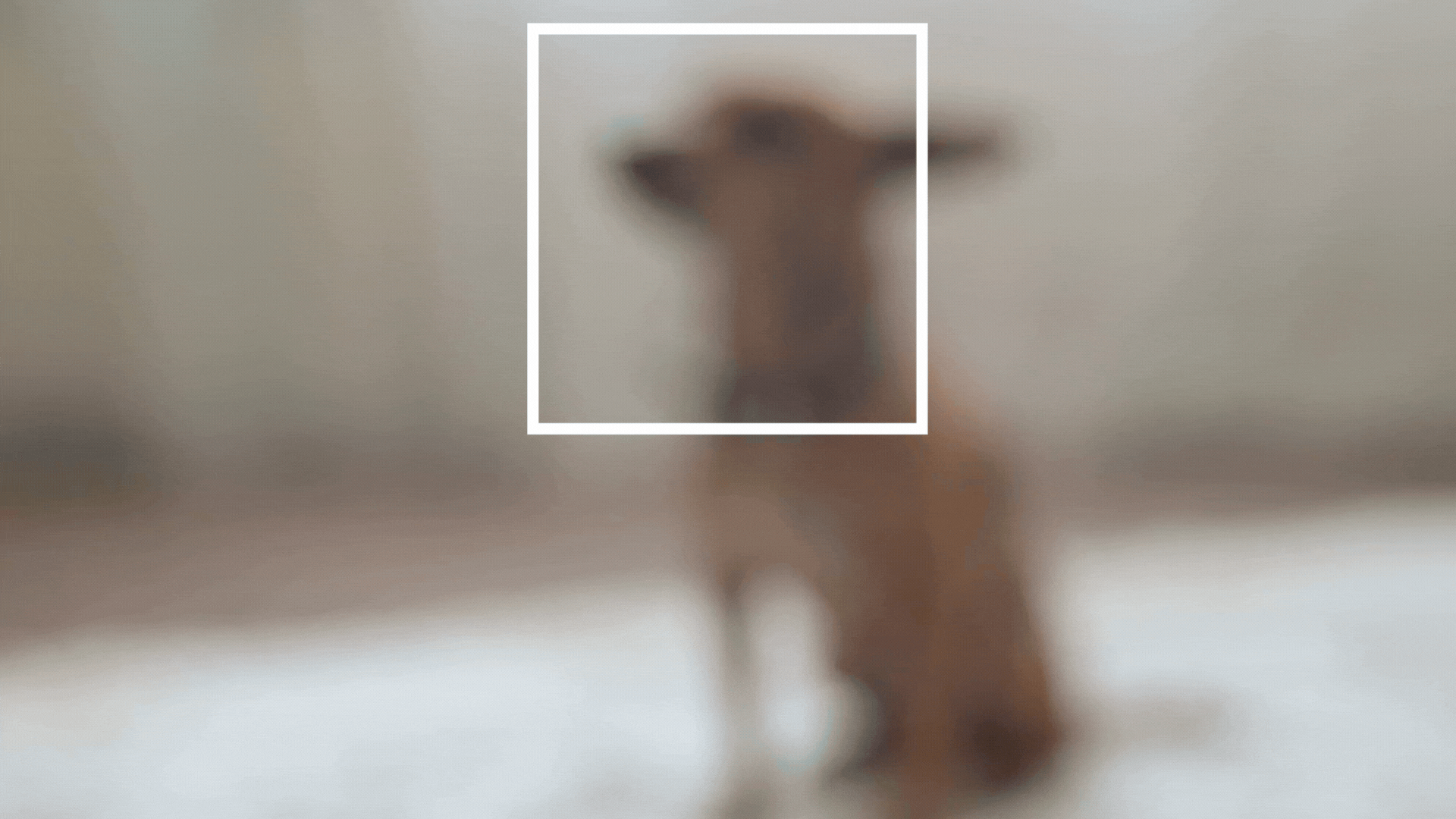 Camera Lens Assembly